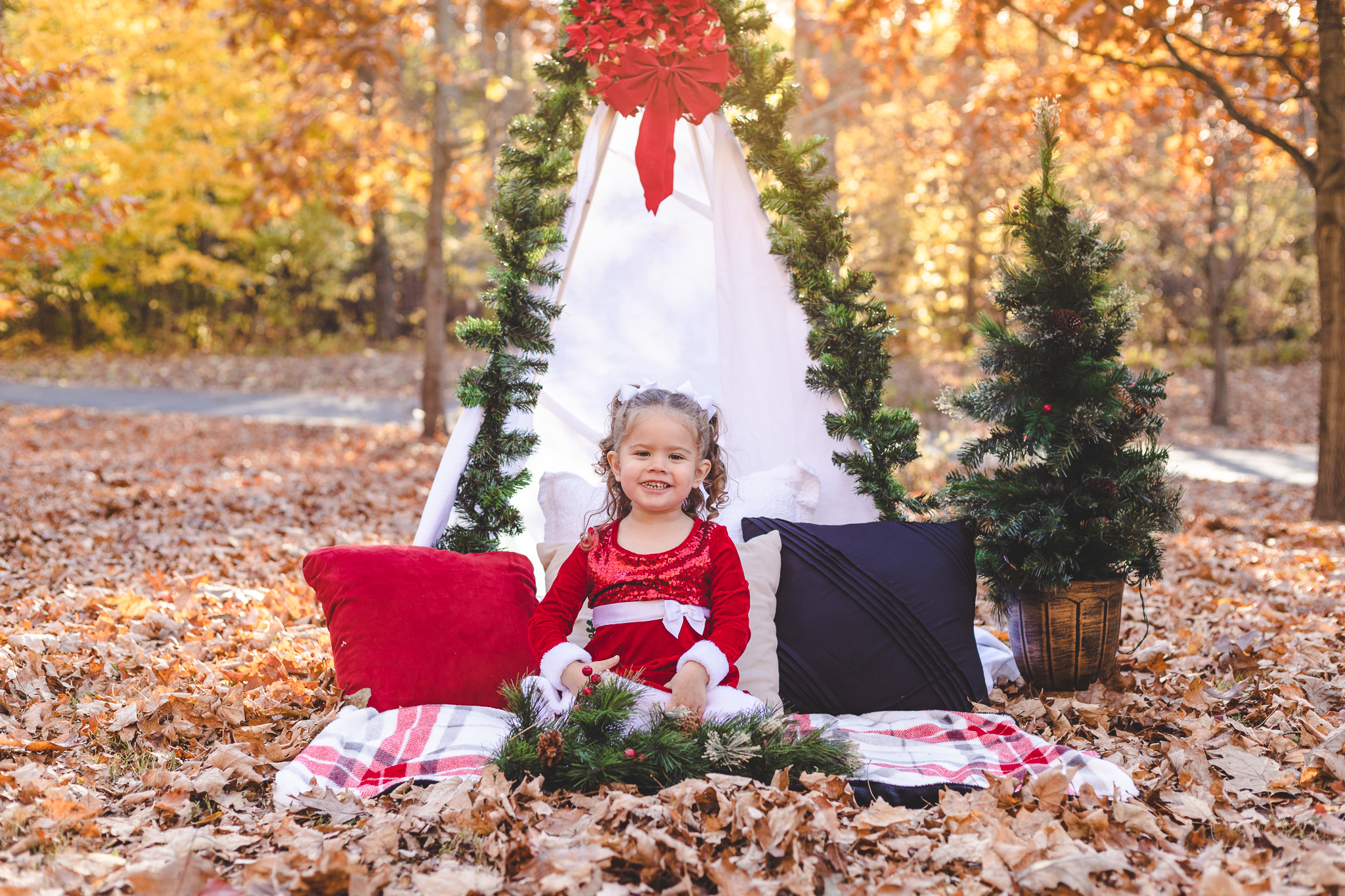 Holiday Mini Sessions 2022